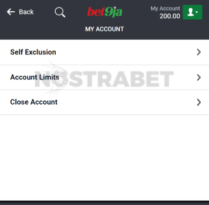 bet9ja responsible gambling features