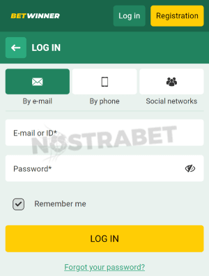 betwinner login fields