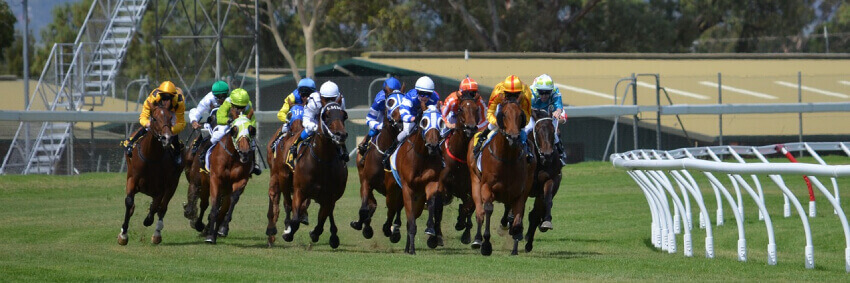 horse race - racers and jockeys